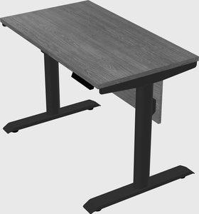Dual motor electric desk