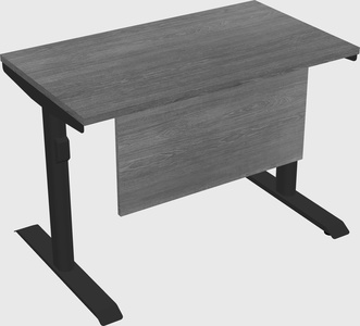 Dual motor electric desk