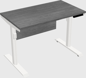 Dual motor electric desk