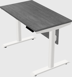 Dual motor electric desk