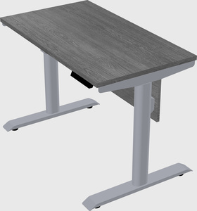 Dual motor electric desk