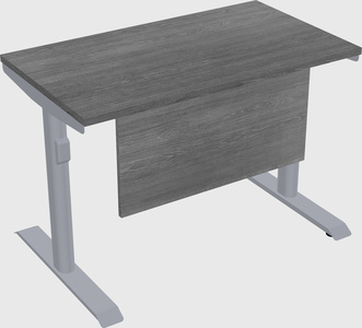 Dual motor electric desk