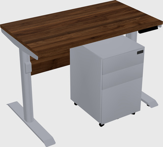 Dual motor electric desk