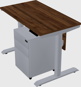 Dual motor electric desk