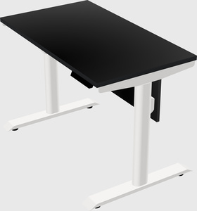 Dual motor electric desk