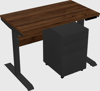 Dual motor electric desk