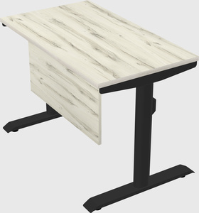 Dual motor electric desk
