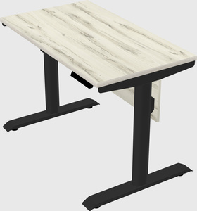 Dual motor electric desk