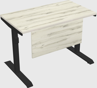 Dual motor electric desk