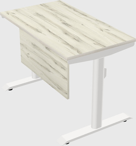 Dual motor electric desk