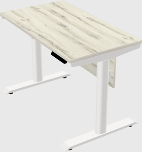 Dual motor electric desk
