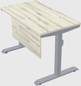 Dual motor electric desk