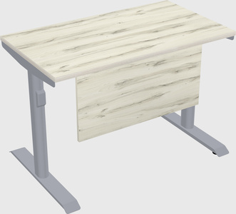 Dual motor electric desk