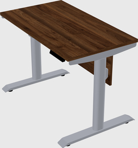 Dual motor electric desk