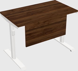 Dual motor electric desk