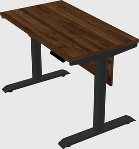 Dual motor electric desk