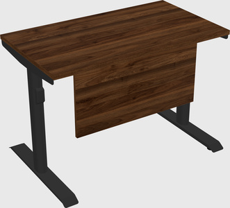 Dual motor electric desk