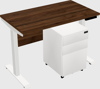Single Motor Electric Desk