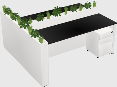 Rectangular shared desk
