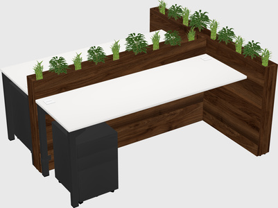 Rectangular shared desk