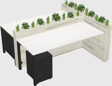 Rectangular shared desk