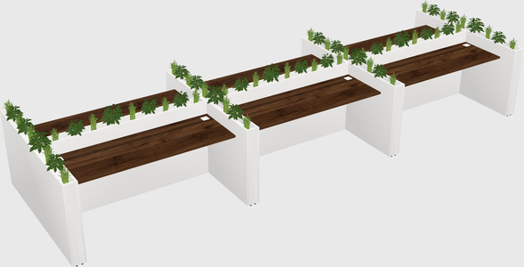 Rectangular shared desk