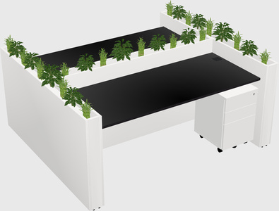 Rectangular shared desk