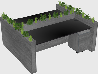 Rectangular shared desk