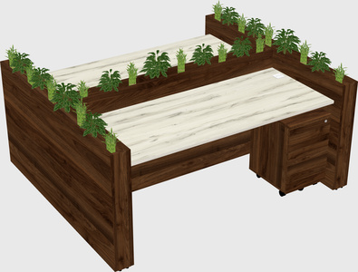 Rectangular shared desk