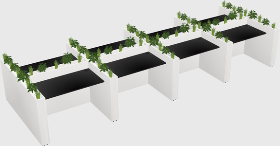 Rectangular shared desk