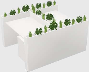 Rectangular shared desk