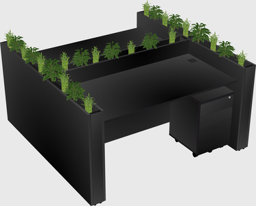 Rectangular shared desk
