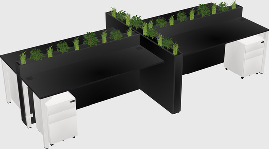 Rectangular shared desk