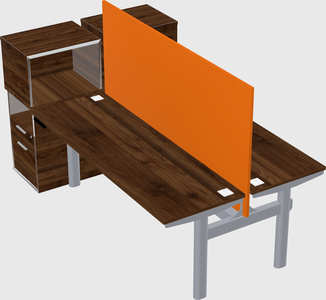 Shared electric desk + cabinet