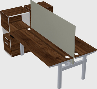 Shared electric desk + cabinet