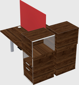 Shared electric desk + cabinet