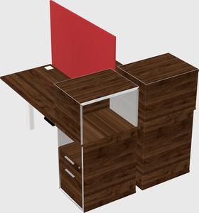 Shared electric desk + cabinet