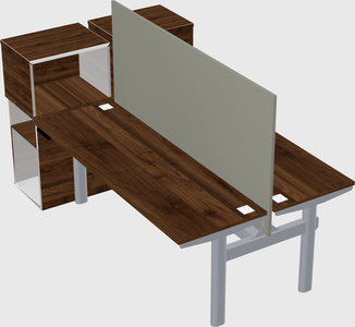 Shared electric desk + cabinet