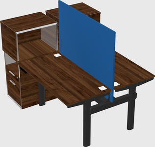Shared electric desk + cabinet