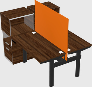 Shared electric desk + cabinet