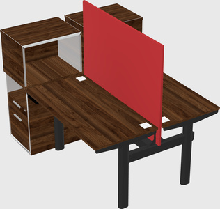 Shared electric desk + cabinet