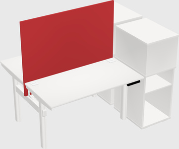 Shared Electric Desk + Cabinet