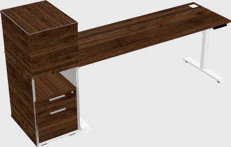 Dual Motor Electric Desk W/cabinet