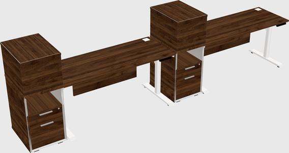 Dual Motor Electric Desk W/cabinet