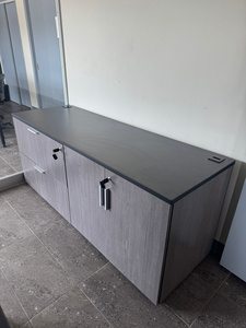 Dual motor electric desk