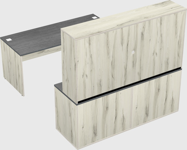 Parallel desk with credenza