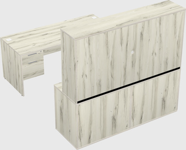 Parallel desk with credenza