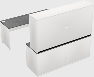 Parallel desk with credenza