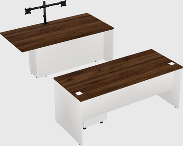 Executive parallel desk