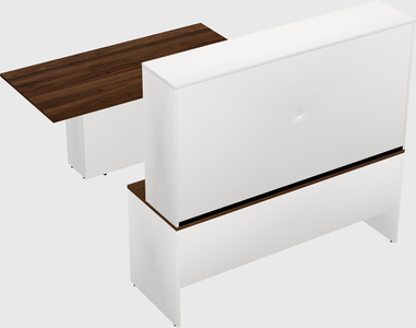 Executive parallel desk